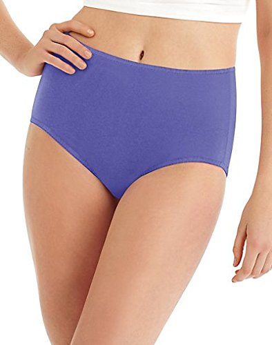 Hanes womens Microfiber Brief Multipack, Assorted,9