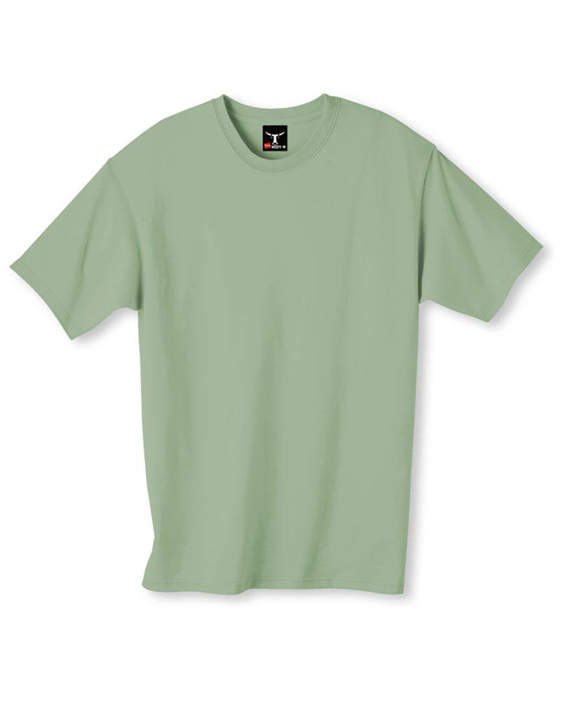Hanes mens 5180 fashion t shirts, Stonewash Green, Small US