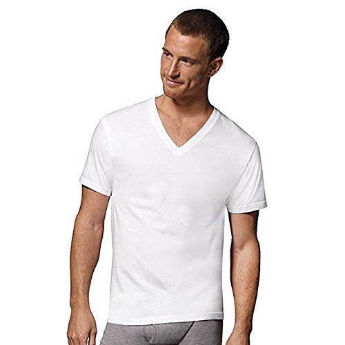Hanes Mens Classic White V-Neck T-Shirt P6 (7880W6) (White, 4X-Large/Tall)