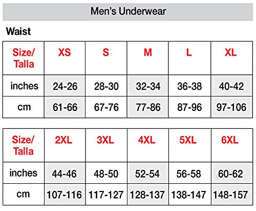 Hanes Mens FreshIQ Cool Comfort Breathable Mesh 6-Pack Sport Brief, L, Assorted