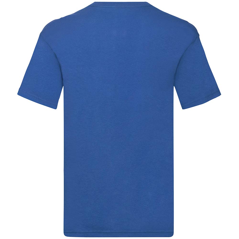 Fruit of the Loom.. Mens Original V Neck T-Shirt (4XL, Black)