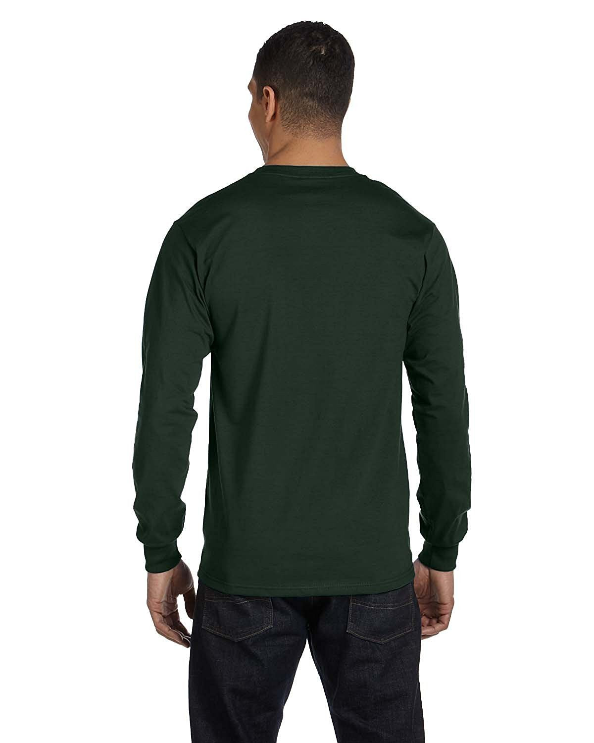 Hanes mens 5186 fashion t shirts, Stonewash Green, Large US