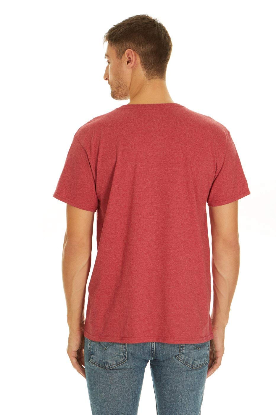5 Pack Variety of Fruit of the Loom Men's V-Neck T-Shirt, Large