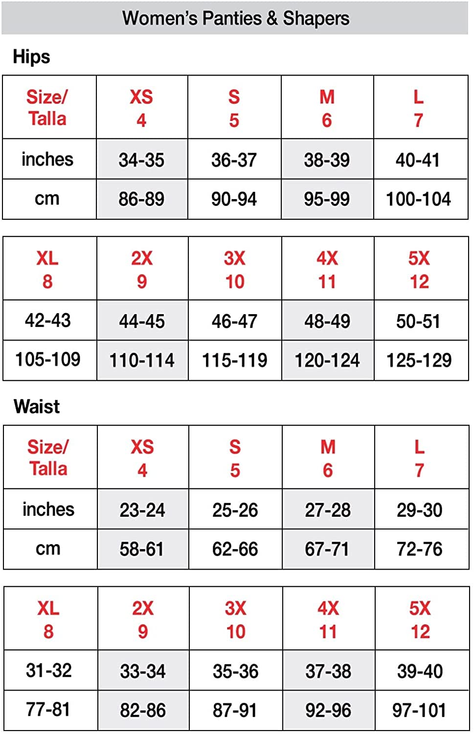 Hanes Women's 8-Pack Cotton Stretch Brief (Bonus +2) (10, Assorted Colors)