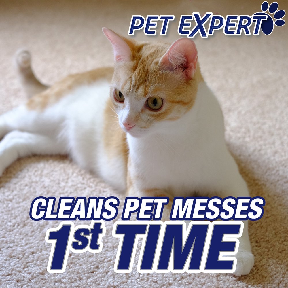 Resolve Pet Stain & Odor Carpet Cleaner, 22 oz (Pack of 3)