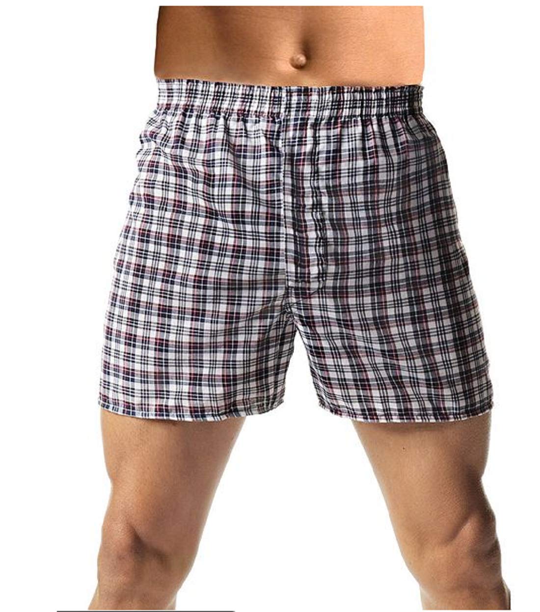 Hanes Red Label Men's 10-Pack Blue Plaid Woven Boxer (Small, Fashion Waistband)