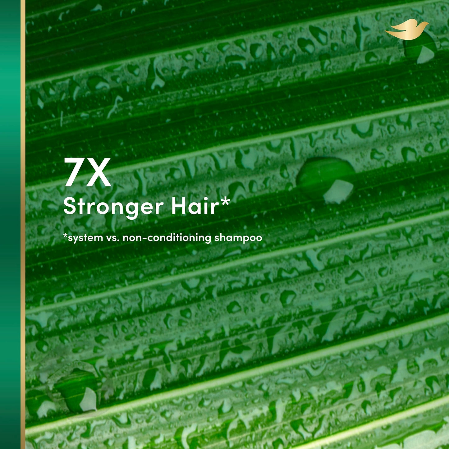 Dove RE+AL Bio-Mimetic Care Shampoo For Damaged Hair Repair Coconut + Vegan Keratin Sulfate-Free Coconut Shampoo 10oz