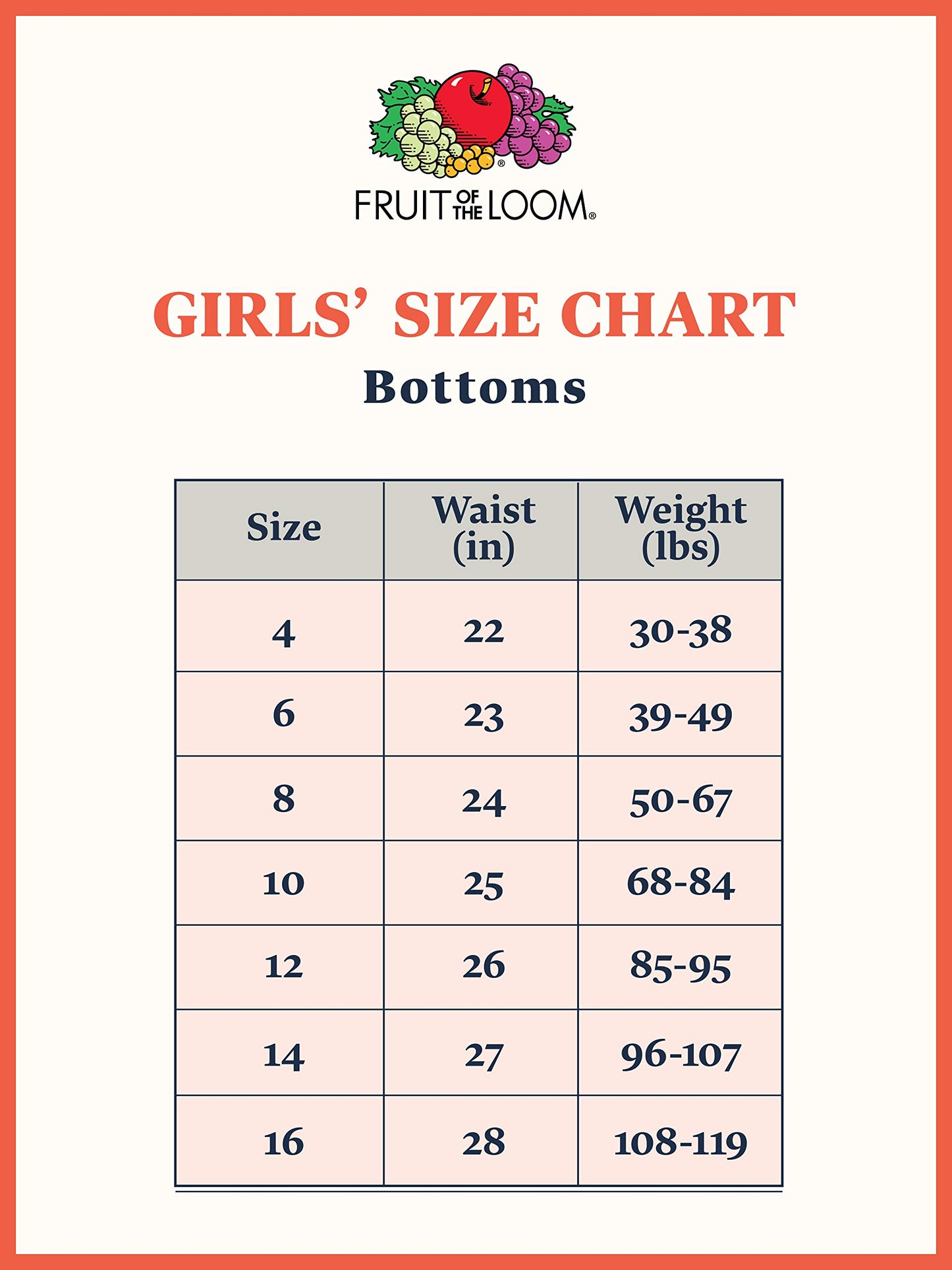 Fruit of the Loom Girls' Little Big Cotton Brief Underwear (Discontinued), 10 Pack-Basic Assorted, 6