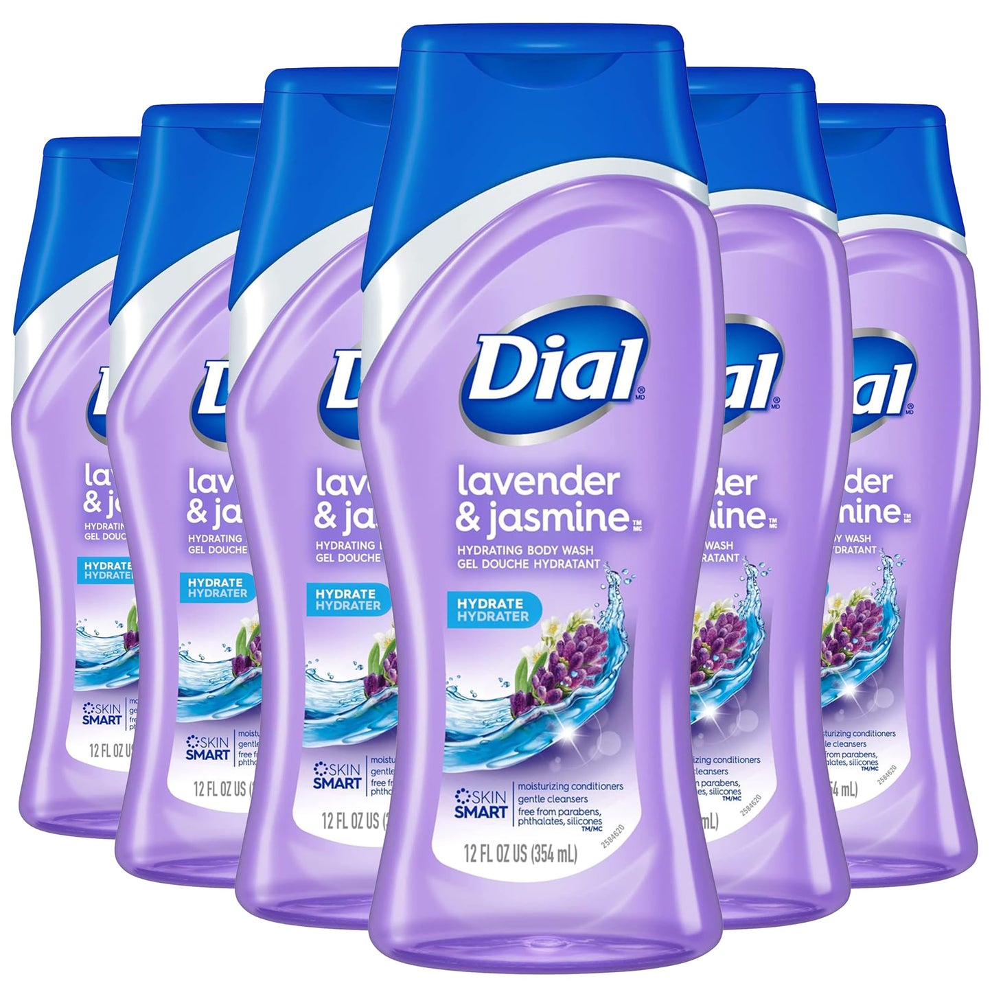 Dial Body Wash, Mountain Fresh, 16 Fl Oz (Pack of 6)