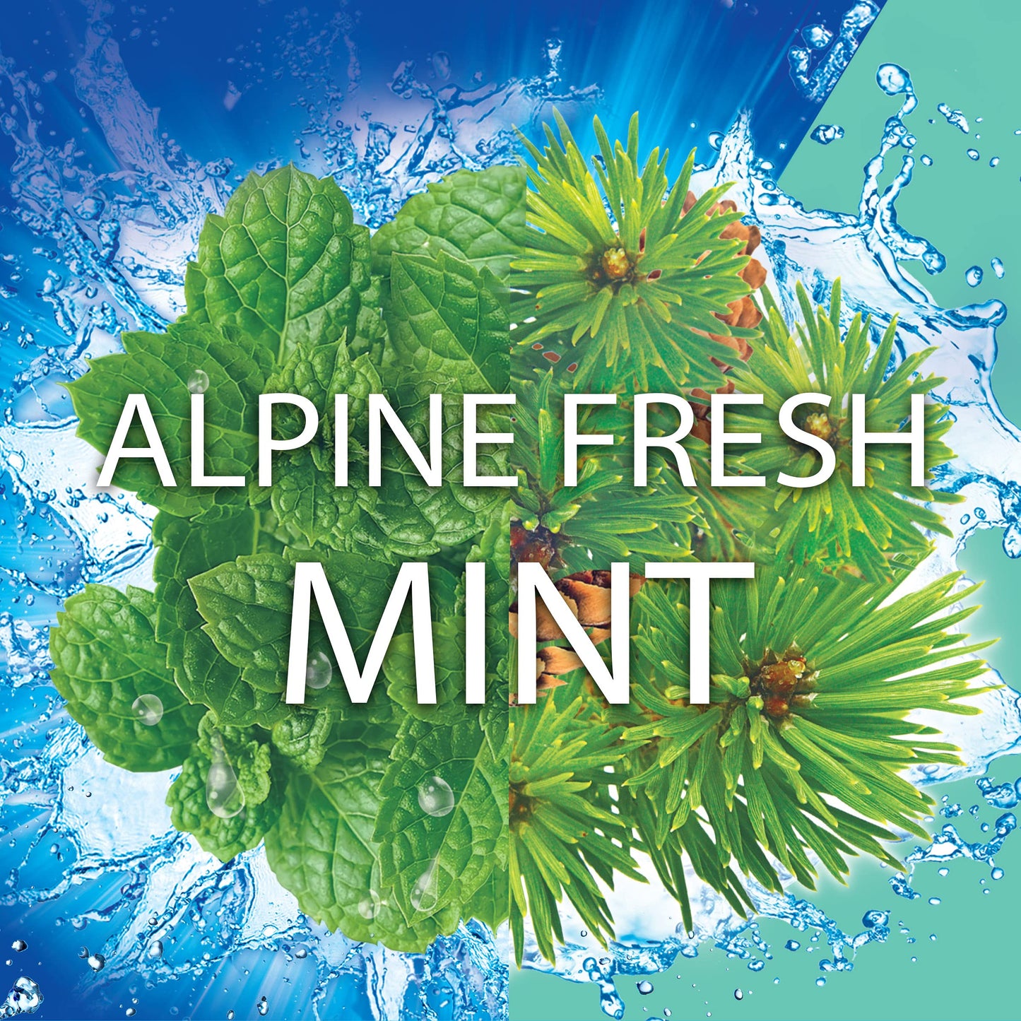 Soft Scrub 4-in-1 Toilet Care with Bleach, Alpine Fresh, 100 Gram