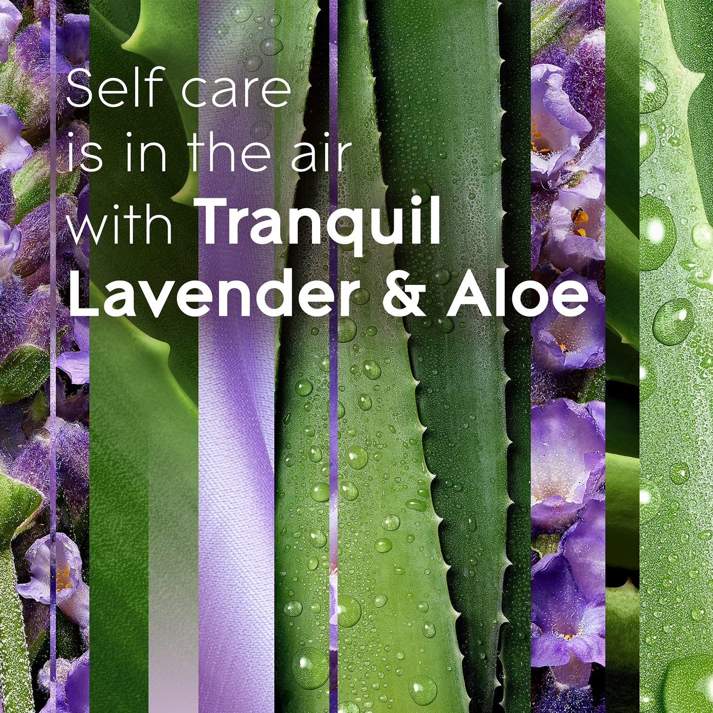 Glade PlugIns Refills Air Freshener Starter Kit, Scented and Essential Oils for Home and Bathroom, Tranquil Lavender & Aloe, 4.02 Fl Oz, 2 Warmers + 6 Refills