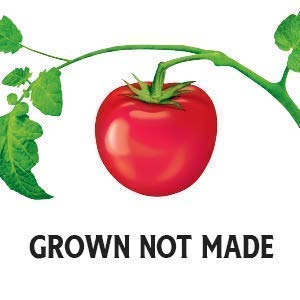 Heinz Tomato Ketchup - 20oz - 2 Pack by Heinz
