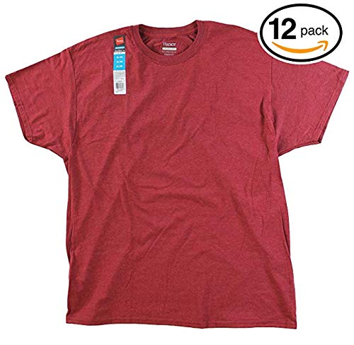 Hanes Men's FreshIQ Crew T-Shirt (Heather Burgundy, X-Large)