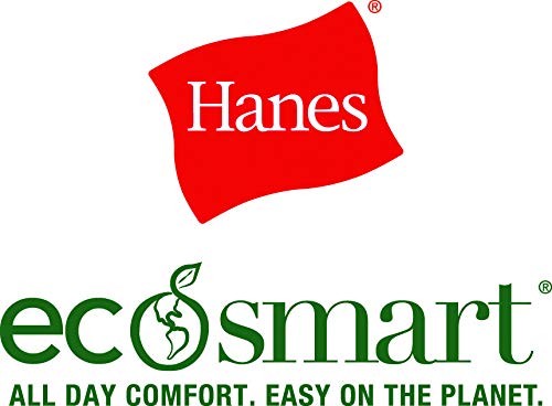 Hanes mens Freshiq, X-temp Cushioned Foot Bottom No Show (Pack of 12 Pairs) Low Cut Sock, White, 6 US