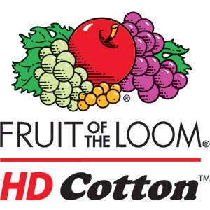 Fruit of the Loom Mens HD Tall T-Shirt (3931T) -White -3XT