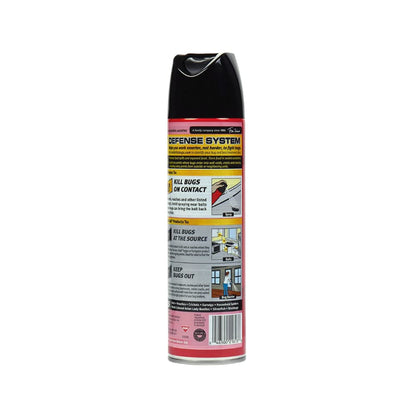 Raid Ant & Roach Killer Insecticide Spray-Outdoor Fresh - 17.5 oz, Clear