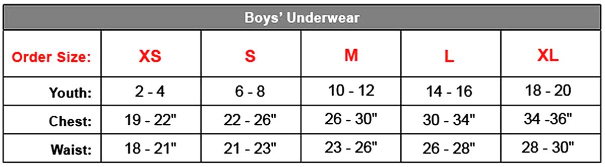 Hanes Boys White Briefs Value 6-Pack_White_Large
