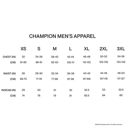 Champion Mens Muscle Tank, Classic Graphic Tee, Sleeveless T-shirt For (Reg. Or Big & Tall), Granite Heather Script, X-Large US