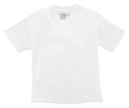 Hanes mens Essentials Short Sleeve T-shirt Value Pack (6-pack) fashion t shirts, White, XX-Large US