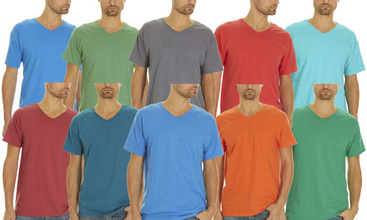 5 Pack Variety of Fruit of the Loom Men's V-Neck T-Shirt, Large