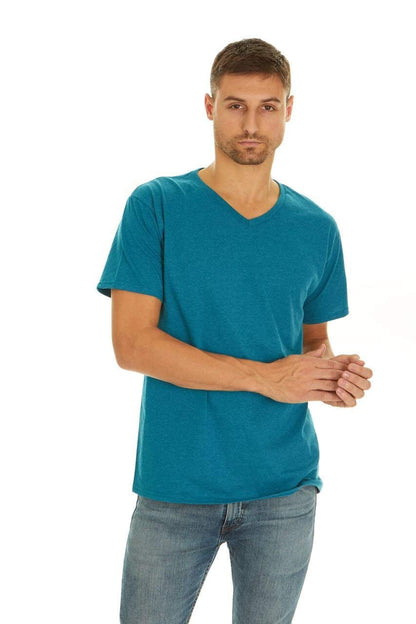 5 Pack Variety of Fruit of the Loom Men's V-Neck T-Shirt, Large