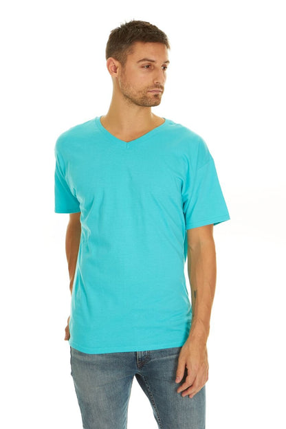 5 Pack Variety of Fruit of the Loom Men's V-Neck T-Shirt, Large