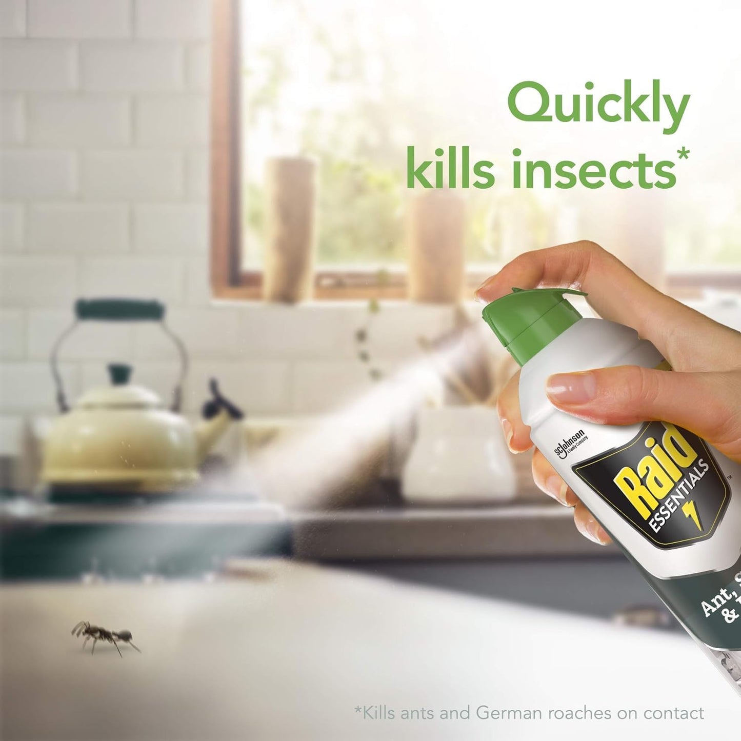 Raid Essentials Ant Spider, and Roach Killer Aerosol Spray, Child & Pet Safe, Kills Insects Quickly, 10 Ounce, 6 Pack (6), 331877