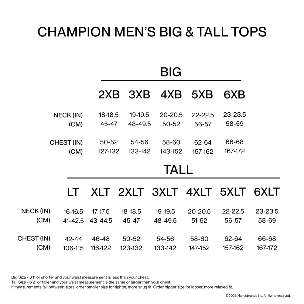 Champion Mens Muscle Tank, Classic Graphic Tee, Sleeveless T-shirt For (Reg. Or Big & Tall), Granite Heather Script, X-Large US