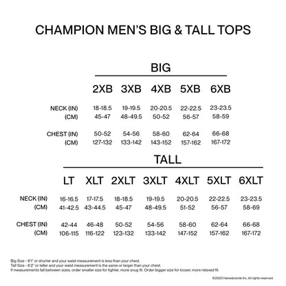 Champion Men's Hoodie, Powerblend, Fleece Striped Sweatshirt for Men (Reg. or Big & Tall)