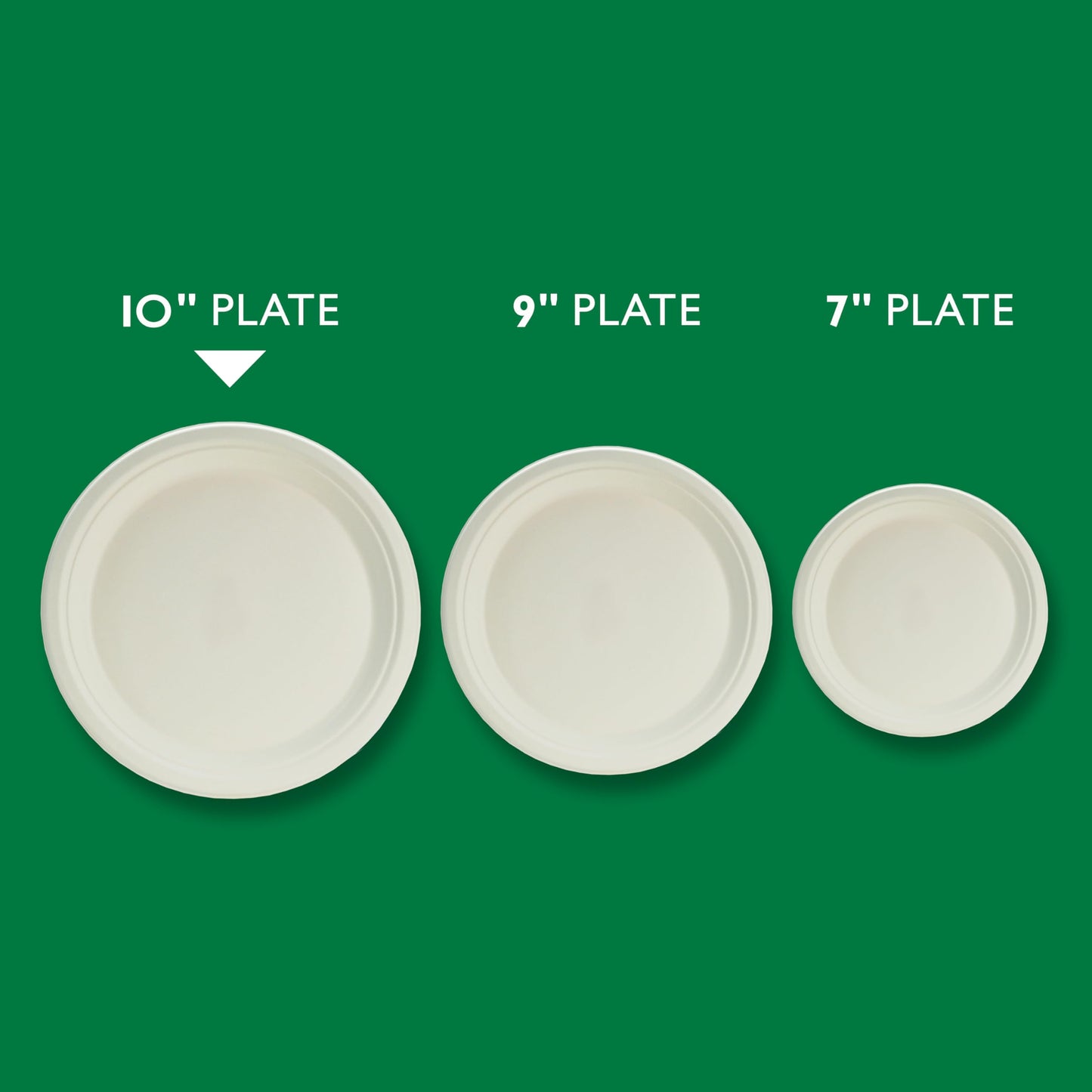 Hefty ECOSAVE Compostable Paper Plates, 10-1/8 Inch, 16 Count