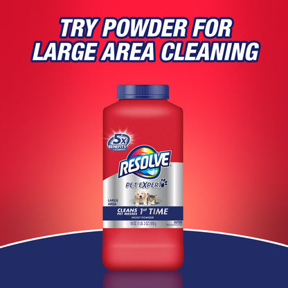 Resolve - 0-19200-00619-4 0-1920088365 High Traffic Carpet Foam Used to Clean, Freshens, Softens and Removes Stains, 132 oz, 1.38 lb. (Pack of 6)