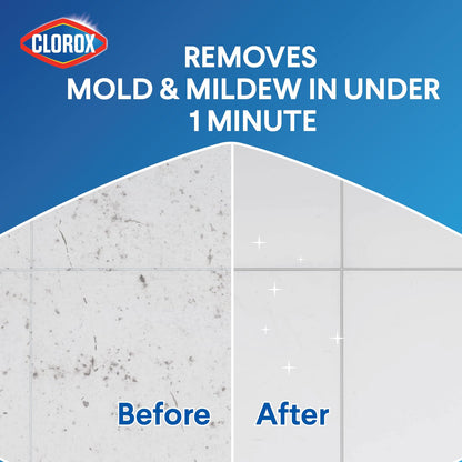 TILEX MOLD/MILDEW 32OZ