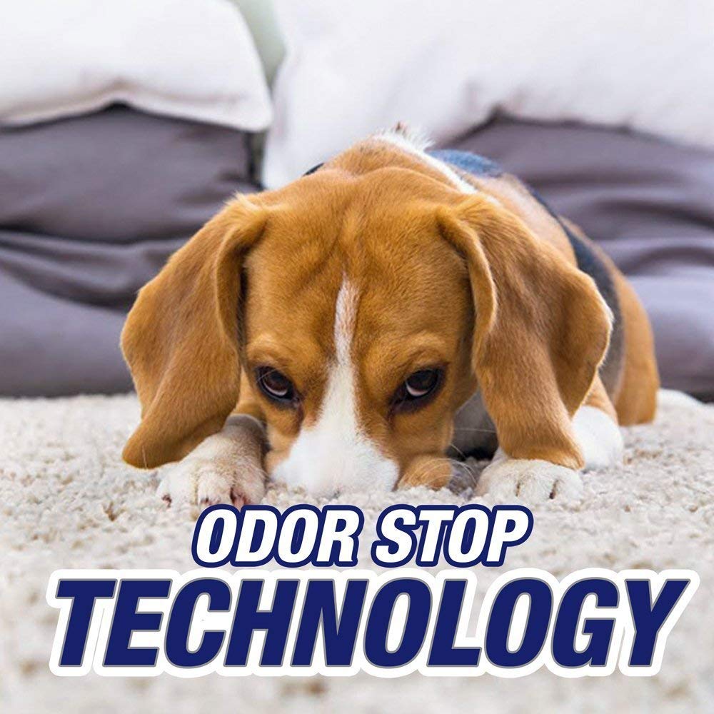 Resolve Pet Expert Carpet and Upholstery Stain Remover Spray, 16 Ounce, (Pack of 6)
