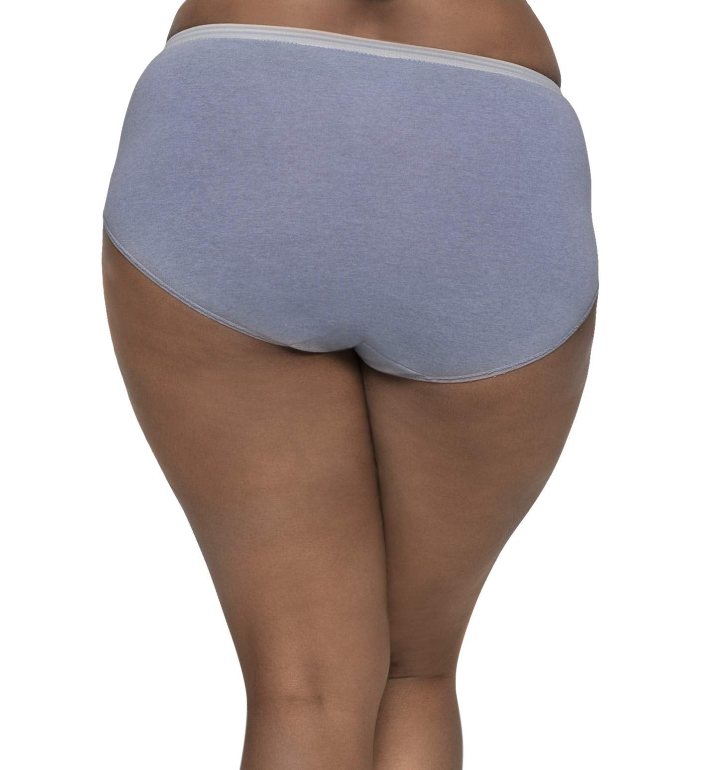 Fruit of the Loom Fit for Me Womens Plus Heather Assorted Brief Underwear, 6 Pack, 12, ASSORTED