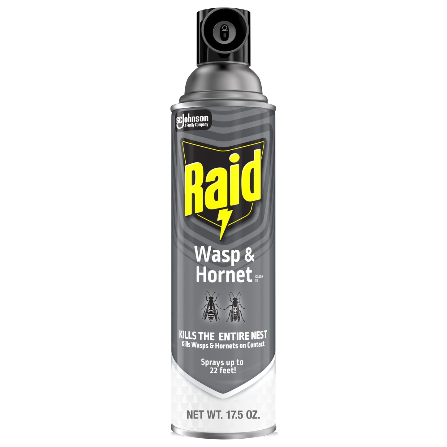 Raid Wasp and Hornet Killer (17.5 Ounce (Pack of 1))