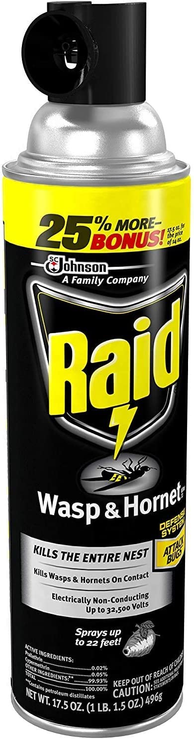 Raid Wasp & Hornet Killer Spray, 17.5 OZ (3 Pack)