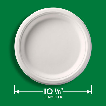Hefty ECOSAVE Compostable Paper Plates, 10-1/8 Inch, 16 Count