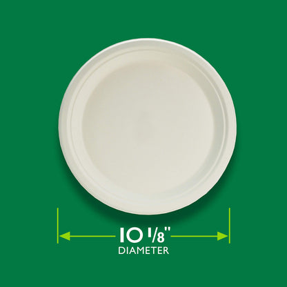 Hefty EcoSave Disposable Plates, Made from Plant Based Materials, Heavy Duty Paper Plates, 10 ⅛ Inch Disposable Plates (16 Count, Pack of 4)