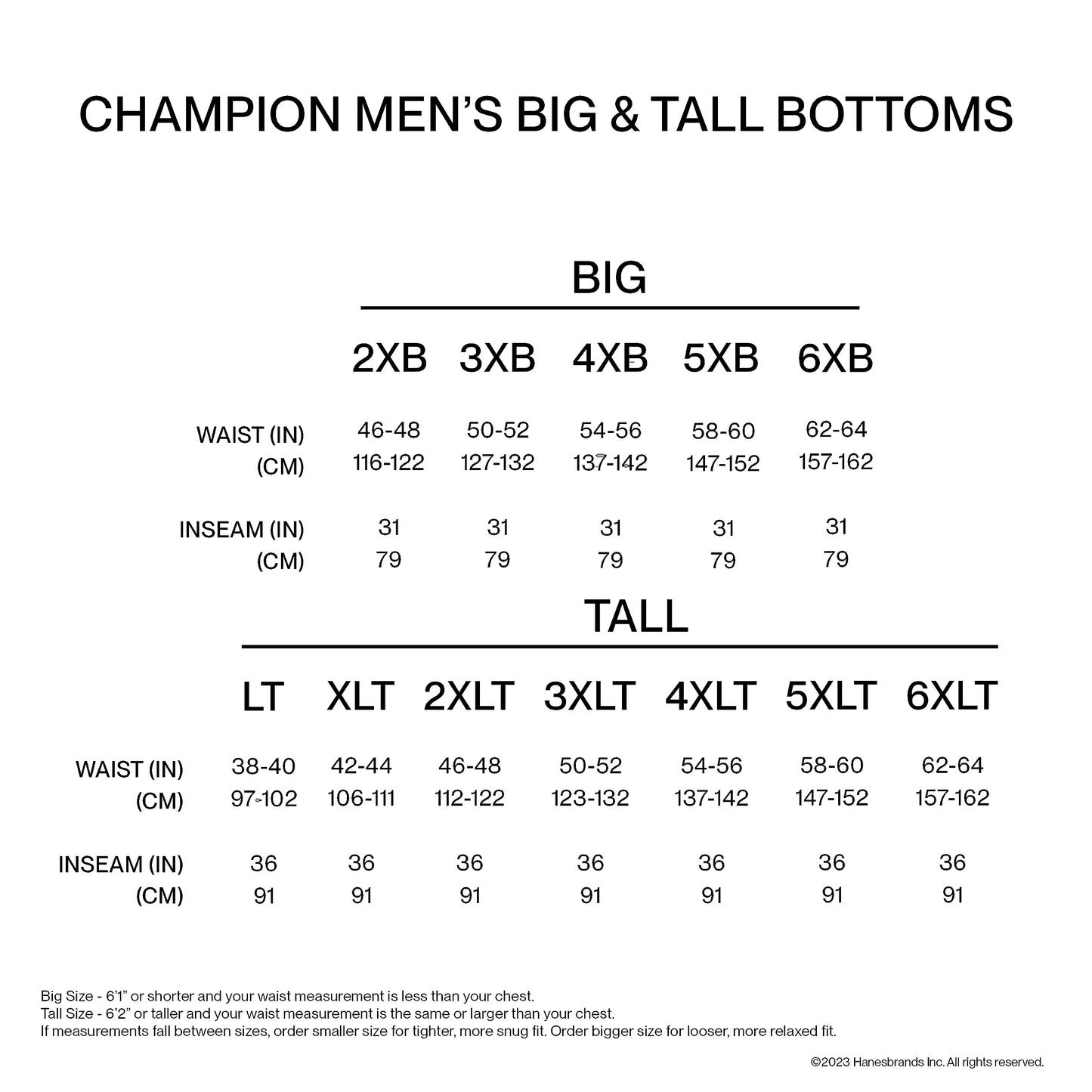 Champion Men's Shorts, Classic Cotton Jersey Athletic Shorts, 9", Long Gym Shorts, Men's Workout Shorts