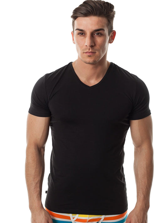 Hanes Men's Black 6-Pack V-Neck T-Shirts (Black, XX-Large)