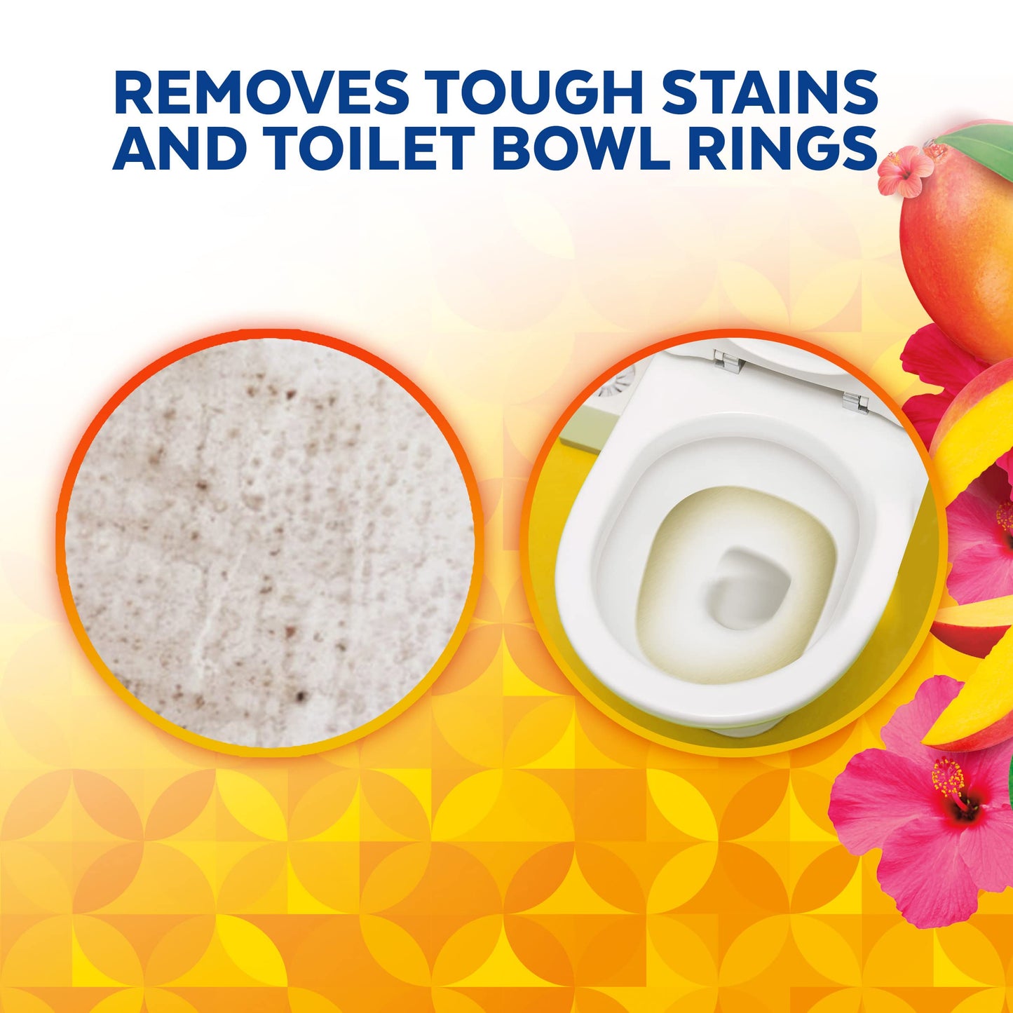 LYSOL Toilet Bowl Cleaner Gel, For Cleaning and Disinfecting, Stain Removal, Mango and Hibiscus, 24oz