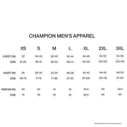 Champion mens Classic T-shirt, Classic Script T Shirt, Navy-y06794, Medium US
