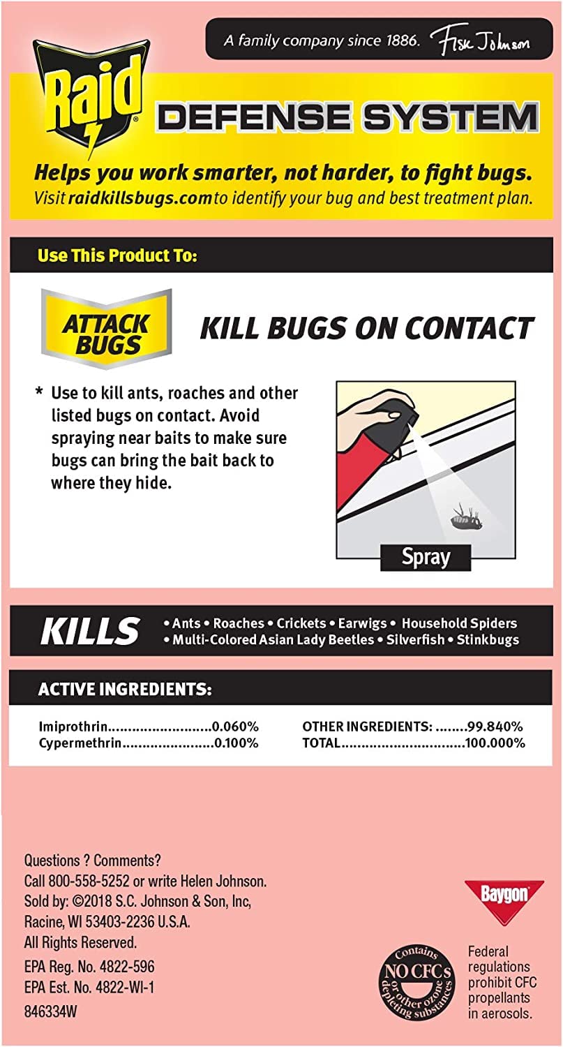 Raid Ant & Roach Killer Insecticide Spray-Outdoor Fresh - 17.5 oz, Clear