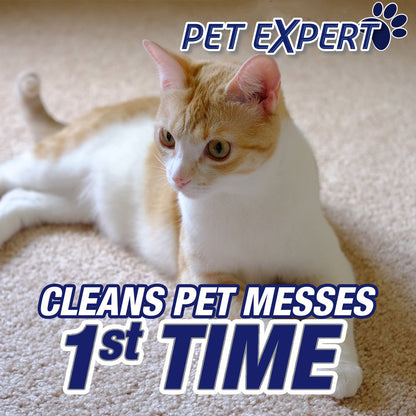 Resolve Pet High Traffic Carpet Foam, Cleans Freshens Softens & Removes Stains, 22 Fl Oz (Pack of 4)