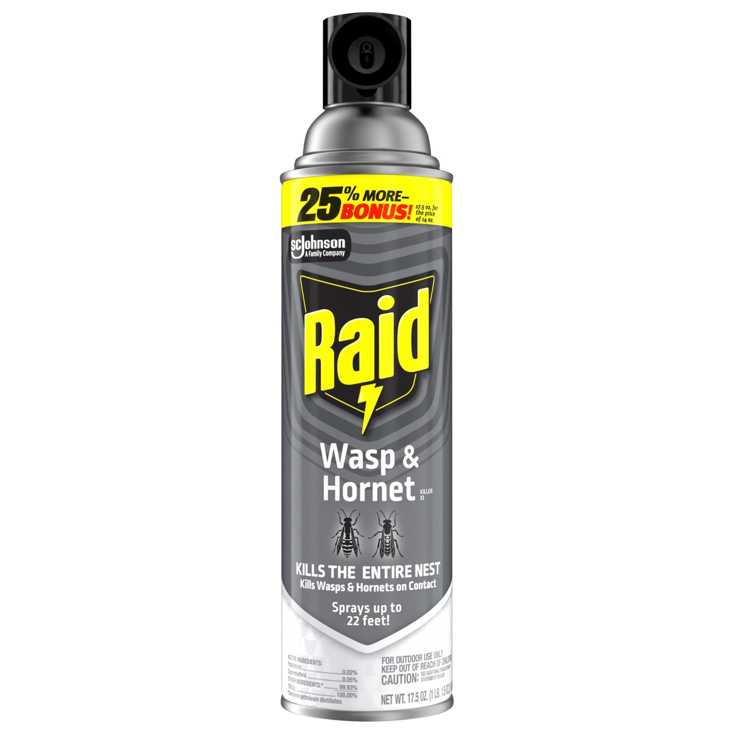 Raid Wasp and Hornet Killer (17.5 Ounce (Pack of 1))