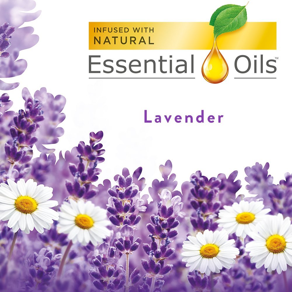 Air Wick Scented Oil Air Freshener, Lavender and Chamomile, 1 Refill, 0.67 Ounce (Pack of 8)