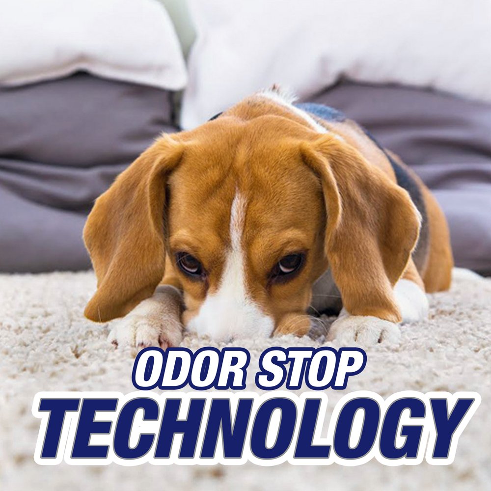 Resolve Pet Stain & Odor Carpet Cleaner, 22 oz (Pack of 8)