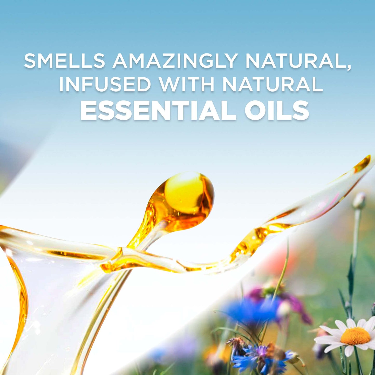 Air Wick Plug in Scented Oil Refill, 7 ct, Peach & Sweet Nectar, Air Freshener, Essential Oils
