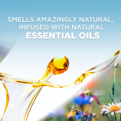 Air Wick Plug in Scented Oil Refill, 7 ct, Peach & Sweet Nectar, Air Freshener, Essential Oils