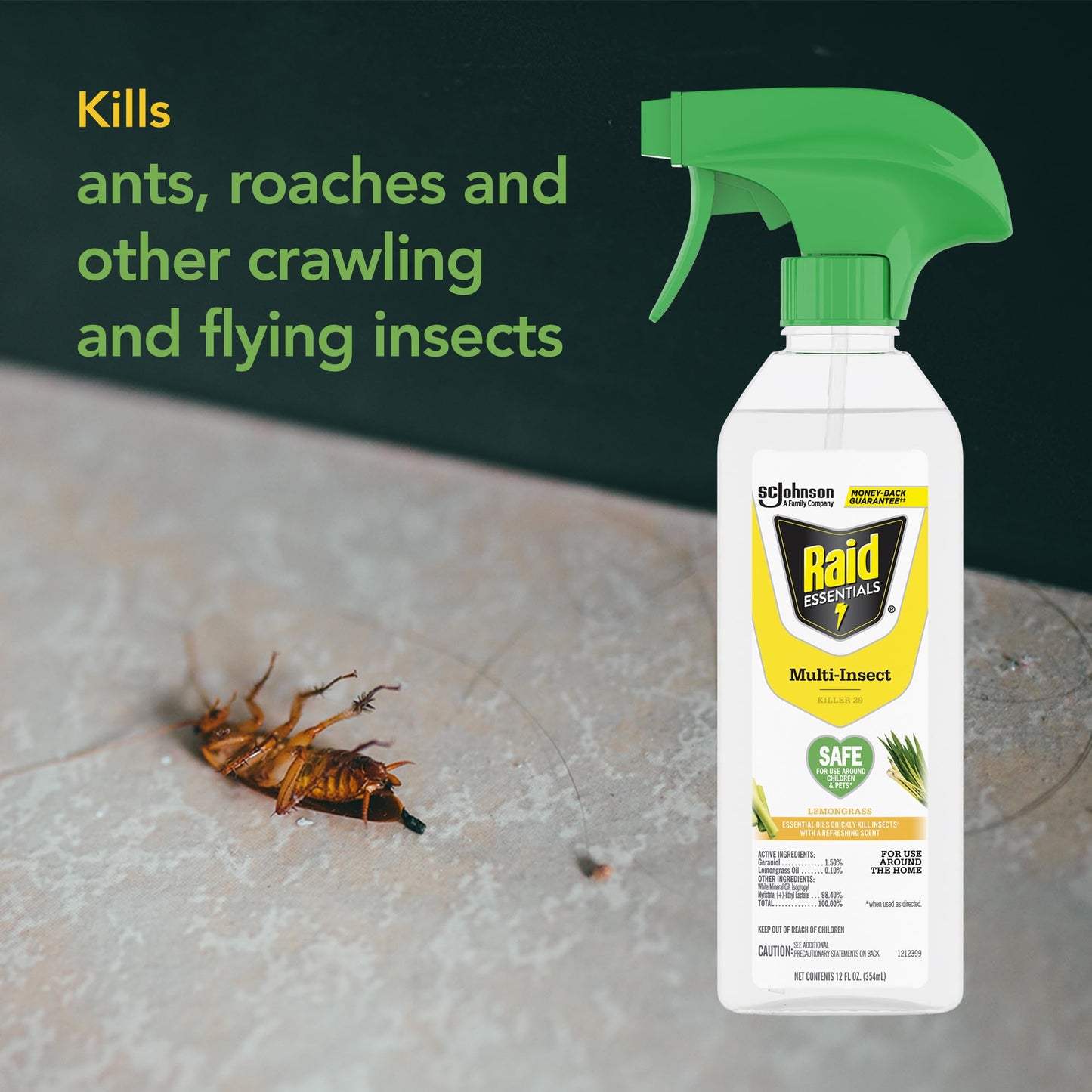 Raid Essentials Multi-Insect Killer Spray Bottle, Child & Pet Safe, for Indoor Use, 12 oz